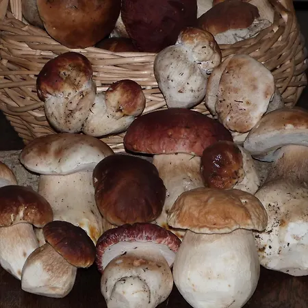 La Mira De Gredos Gasthof 4*