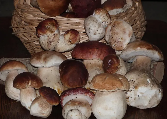 La Mira De Gredos 게스트하우스 4*